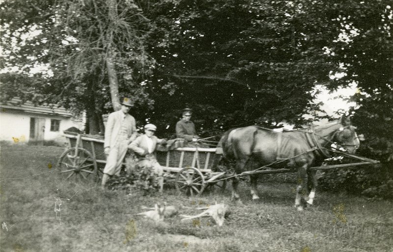 KKE 6025.jpg - KKE 6025 – Fot. Polowanie. Powrót z polowania. Od lewej: pierwszy Jerzy Sikorski – ojciec Piotra Sikorskiego, Kulawa - Żółkiew, 1936 r.